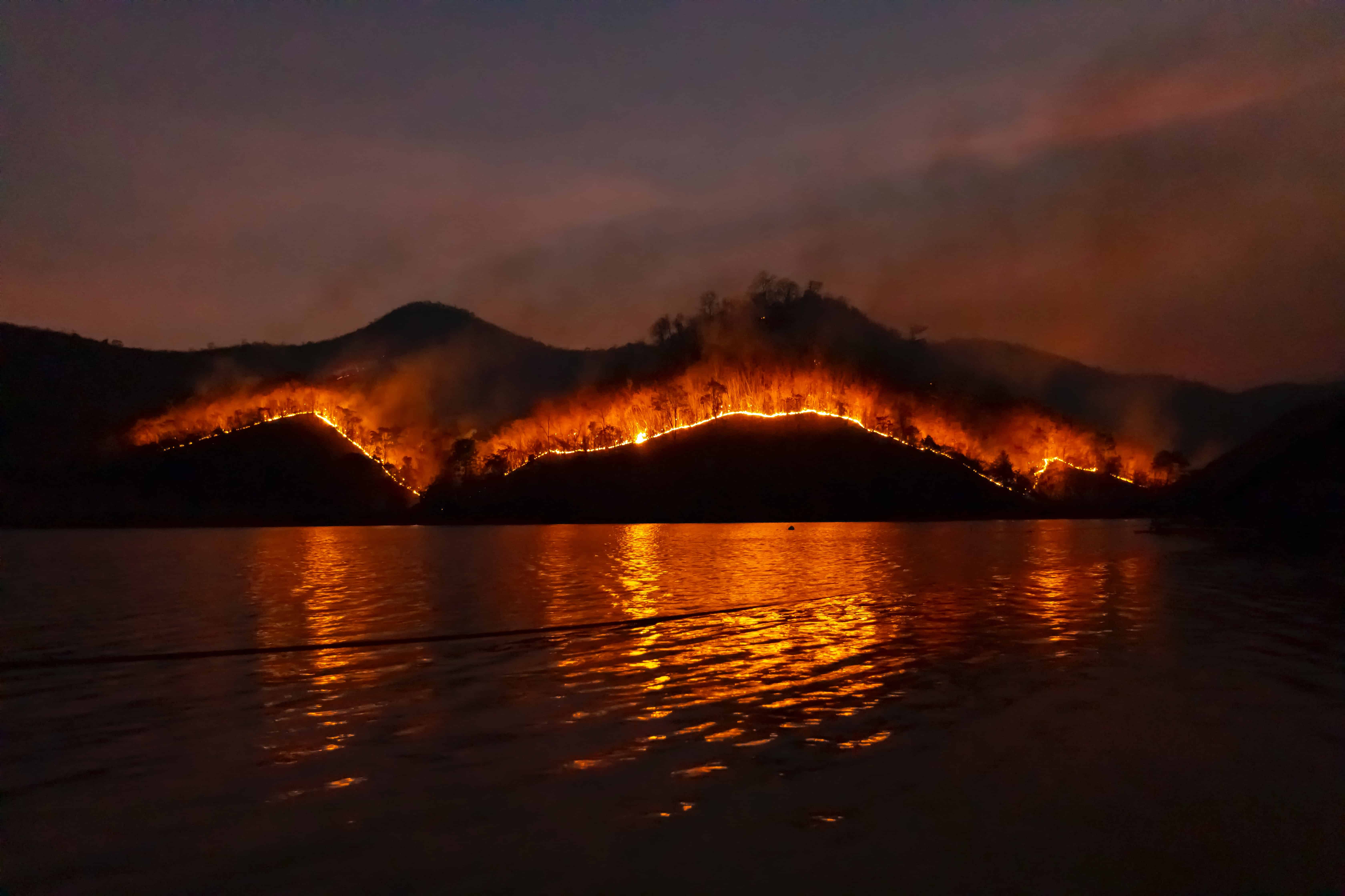 wildfire on mountain orange flames