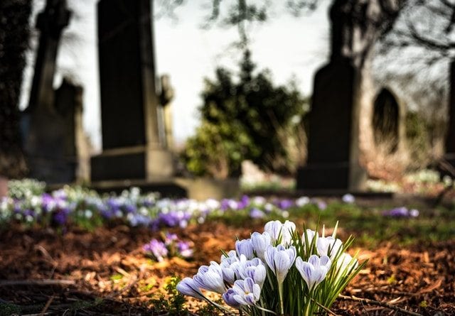 credit pixabay graveyard and flowers honor dead